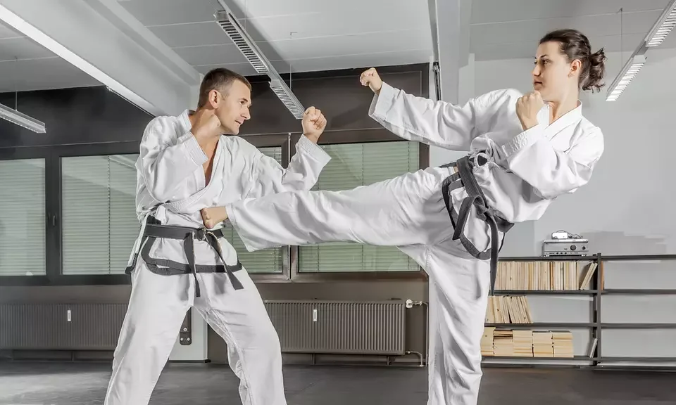 The Great Savings Event (Groupon Page for Martial Arts Gyms in Aliso Viejo, CA) facility image