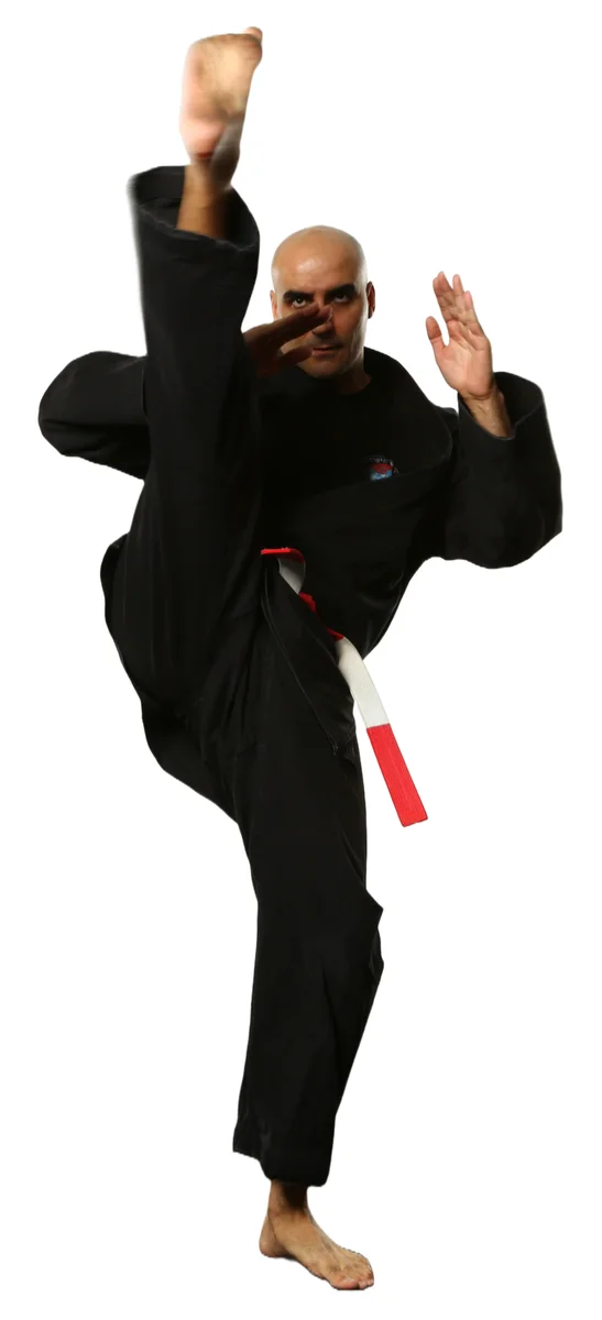 THE ISRAELI MARTIAL ARTS ACADEMY facility image