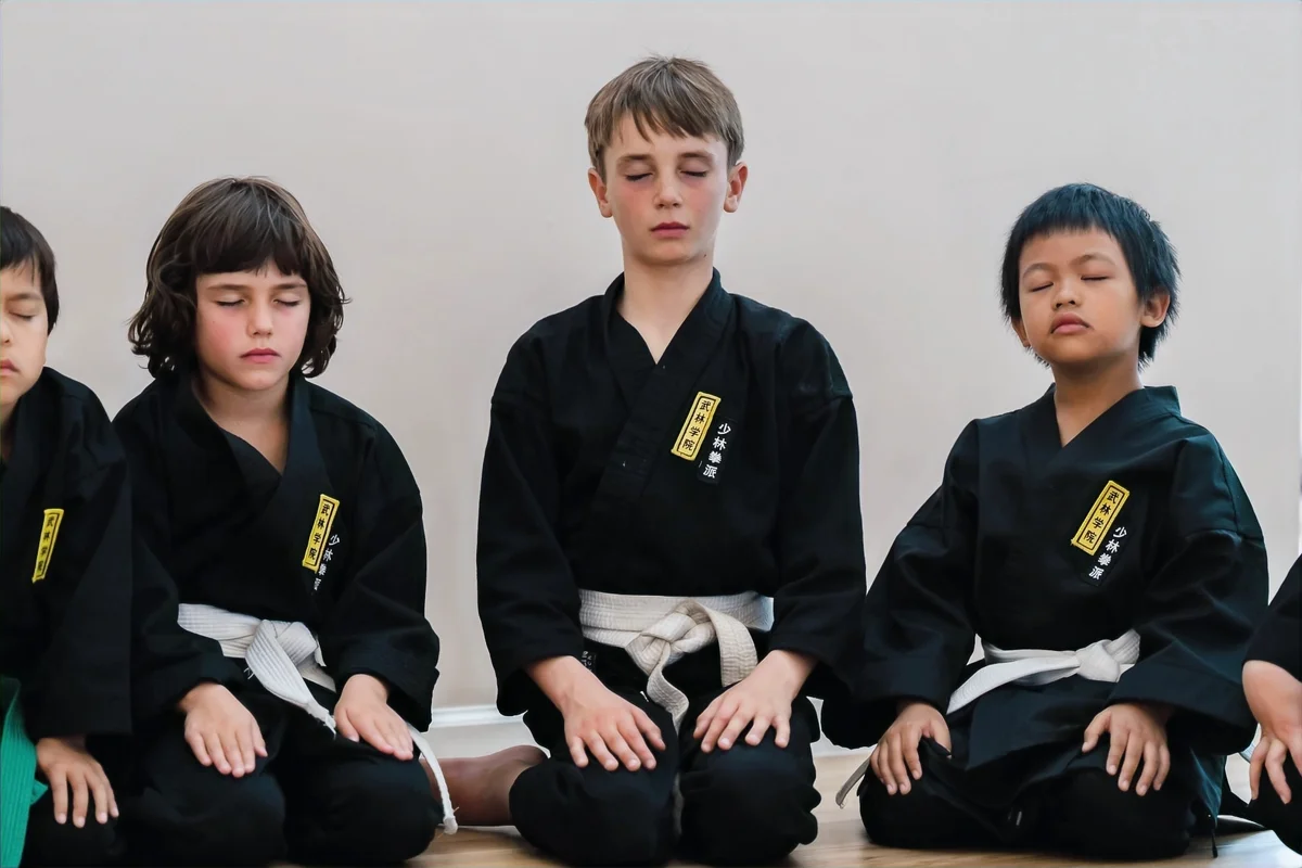 The Martial Arts Academy of Marin facility image
