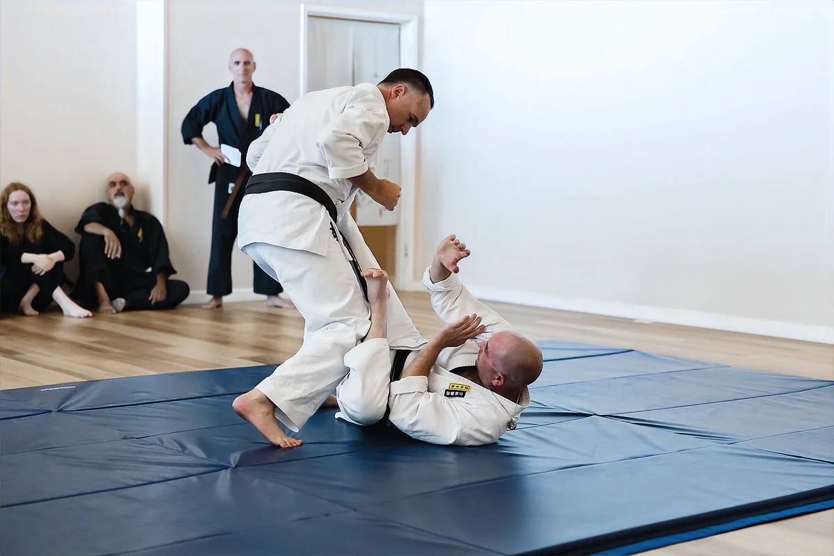 The Martial Arts Academy of Marin facility image