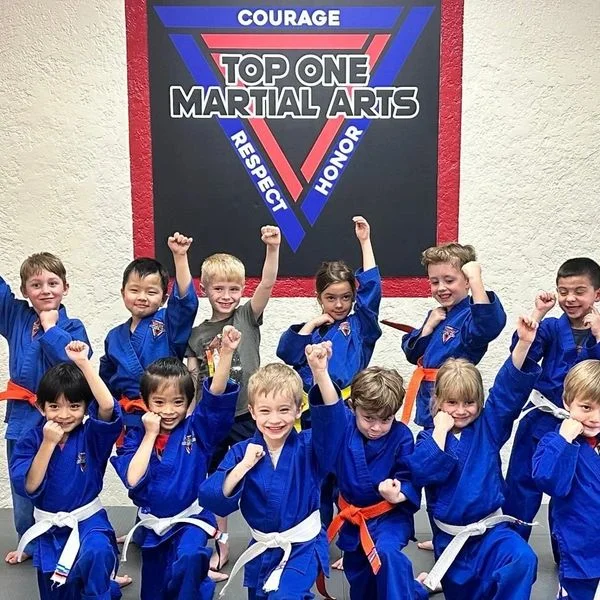 Top One Martial Arts facility image
