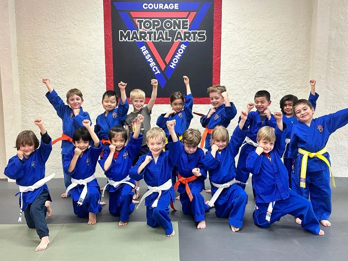 Top One Martial Arts facility image