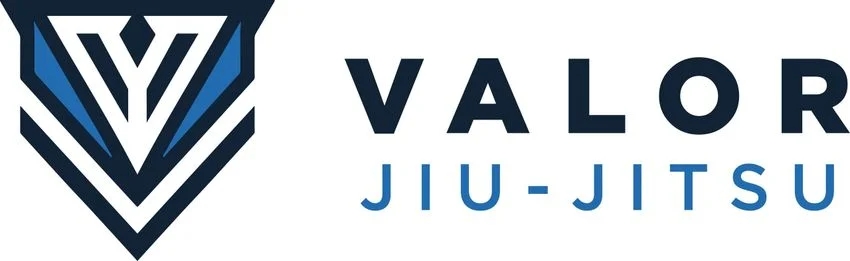 Valor Jiu Jitsu academy logo