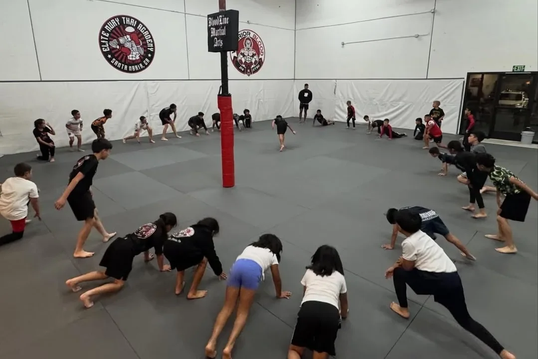 Warrior Blood Jiu Jitsu facility image