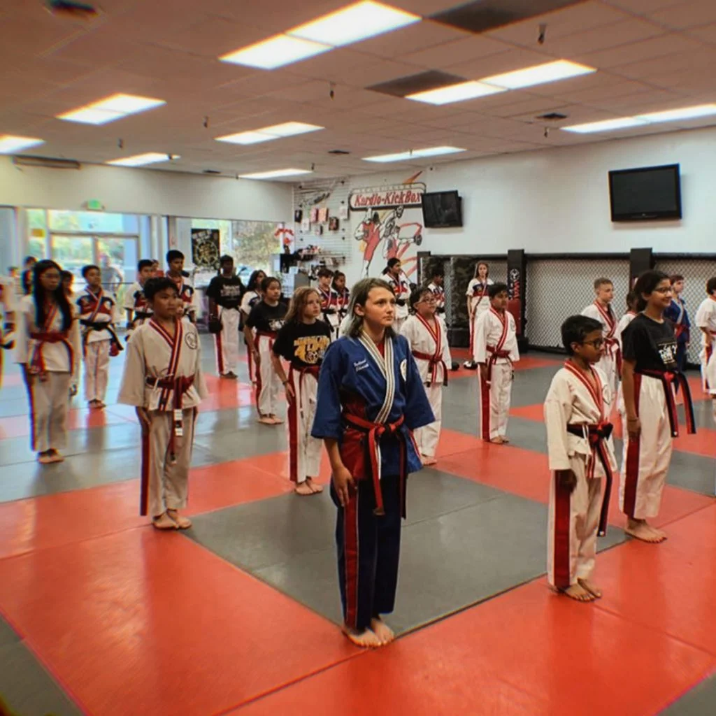 Ernie Reyes' West Coast World Martial Arts Association - Campbell Location facility image