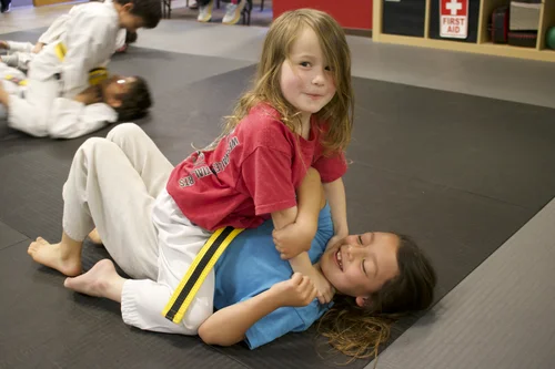 West Valley Martial Arts facility image