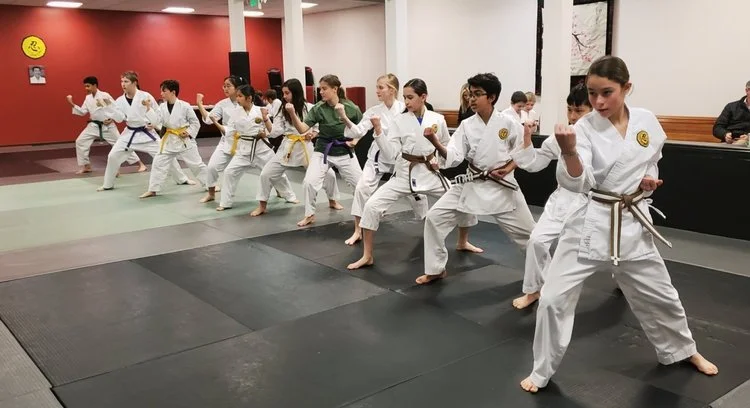 West Valley Martial Arts facility image