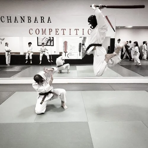 West Valley Martial Arts facility image