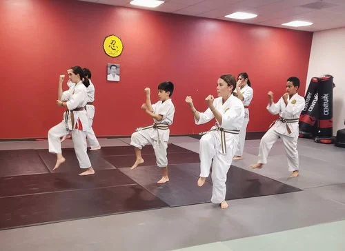 West Valley Martial Arts facility image