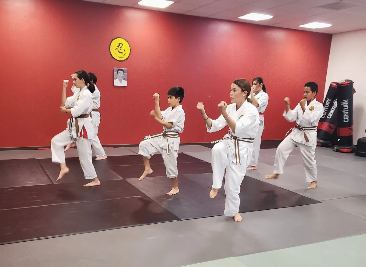 West Valley Martial Arts facility image