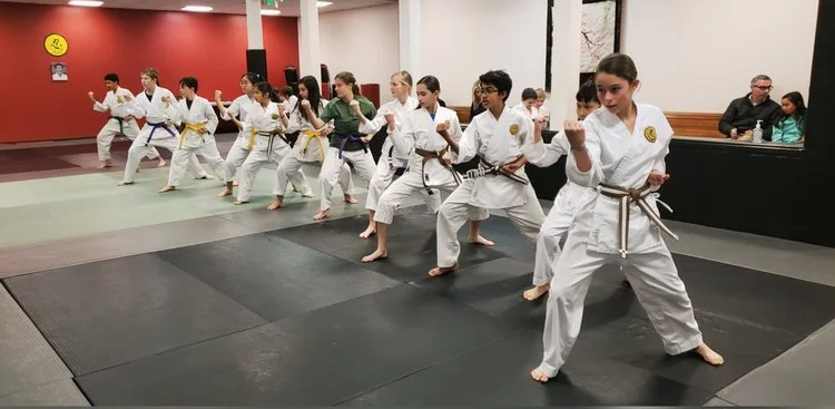 West Valley Martial Arts facility image