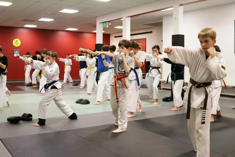 West Valley Martial Arts facility image