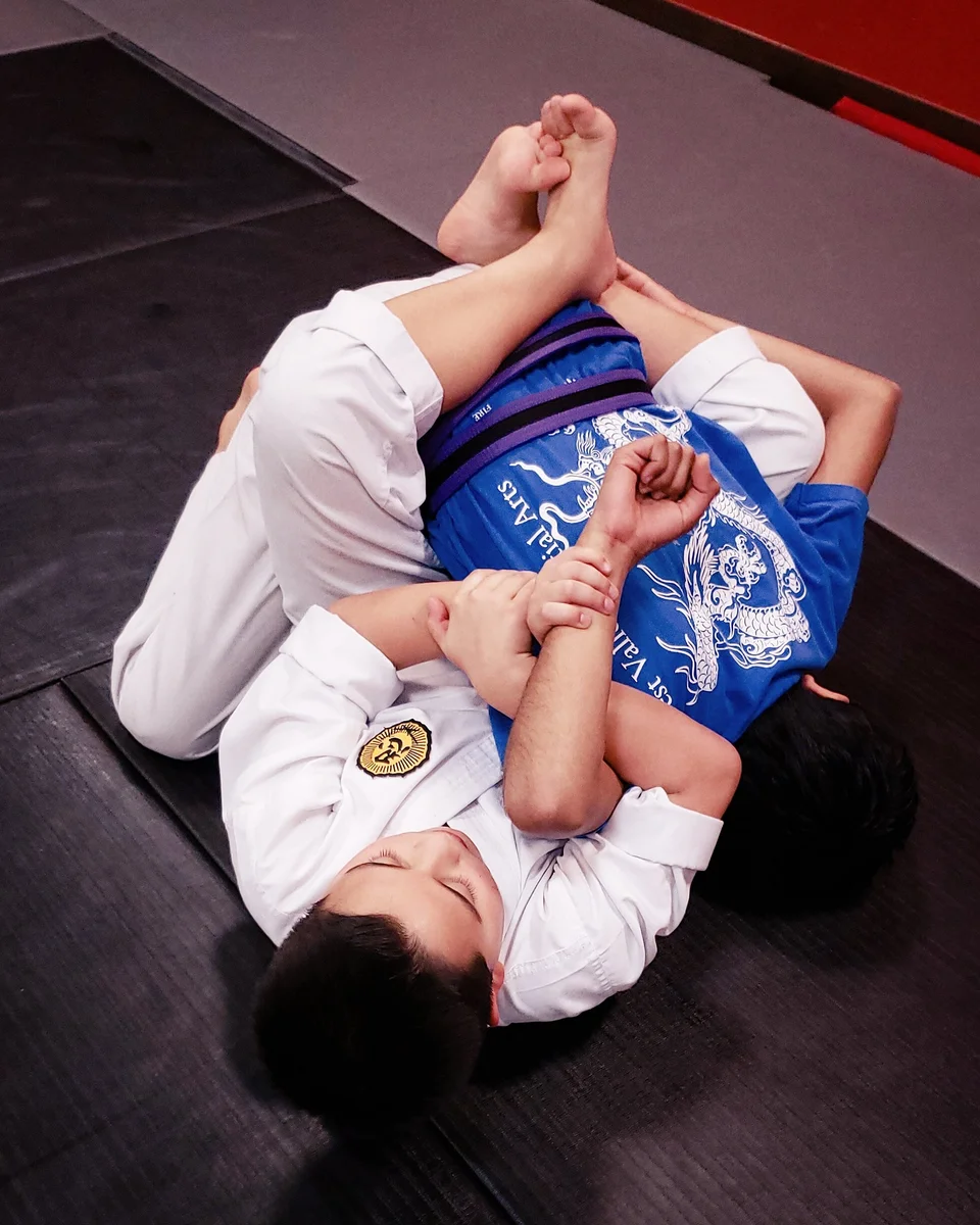 West Valley Martial Arts facility image