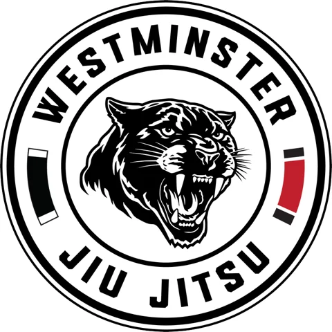 A Team Brazilian Jiu-Jitsu facility image