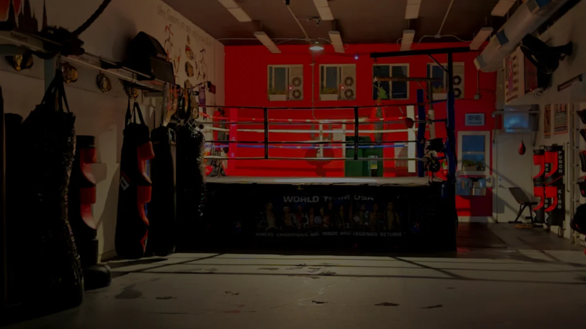 World Team USA Muay Thai & BJJ Fitness facility image