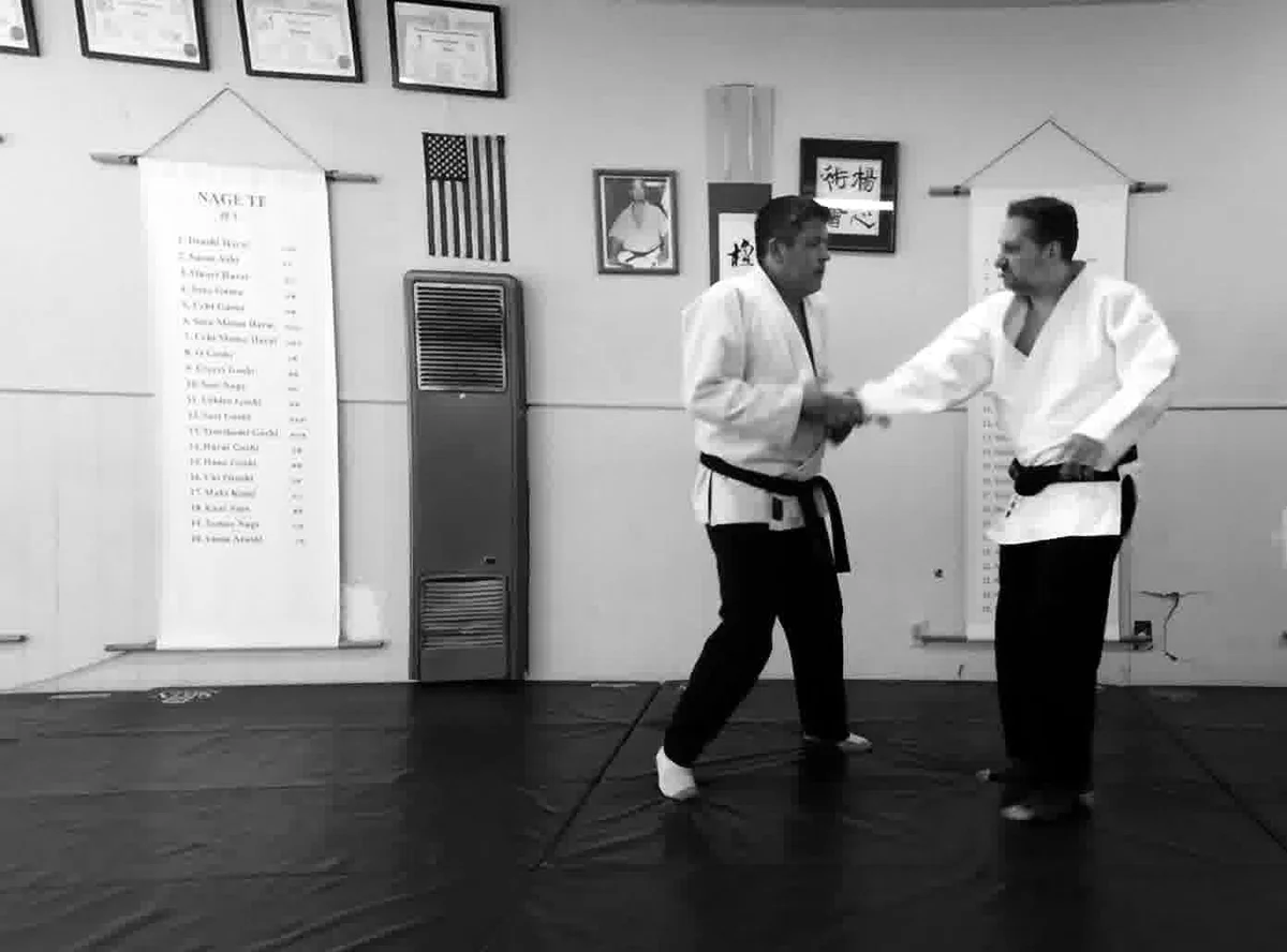 Yoshin Jitsu Kai academy logo