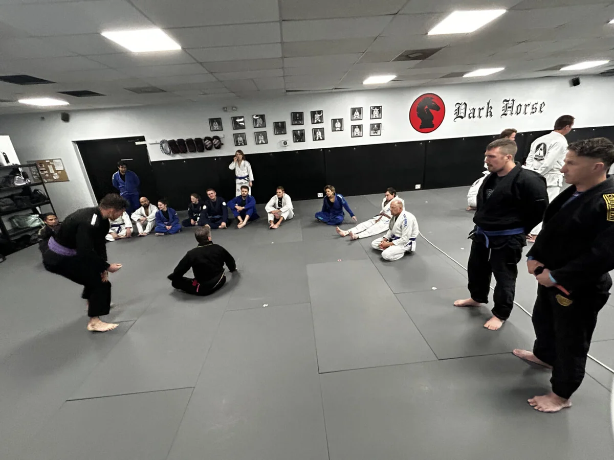 Dark Horse Brazilian Jiu-Jitsu facility image