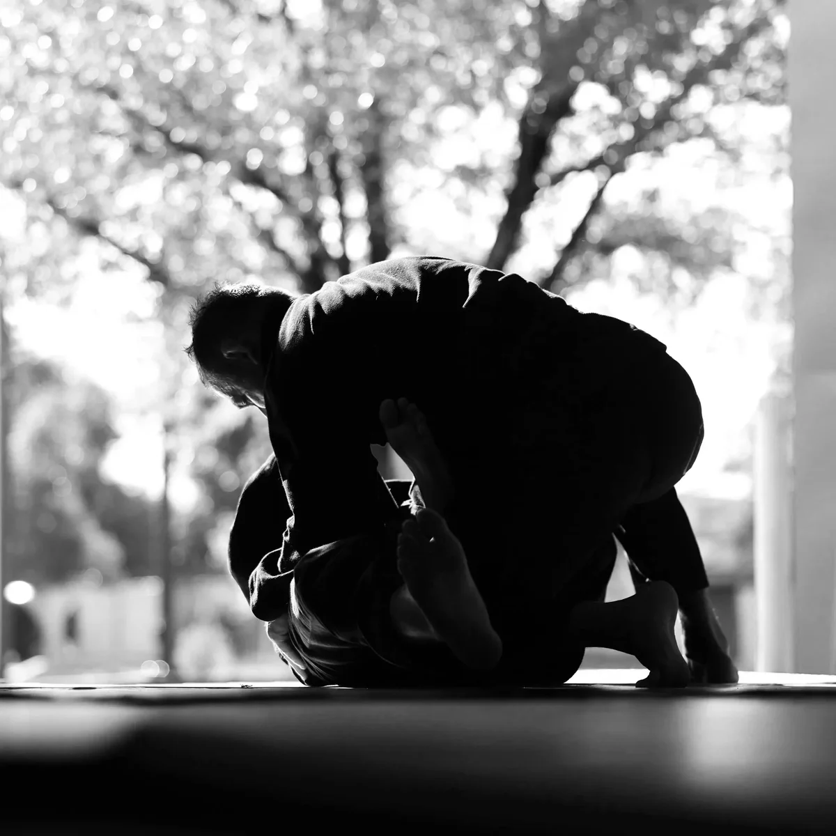 Elevate Jiu Jitsu Academy - Grand Junction facility image