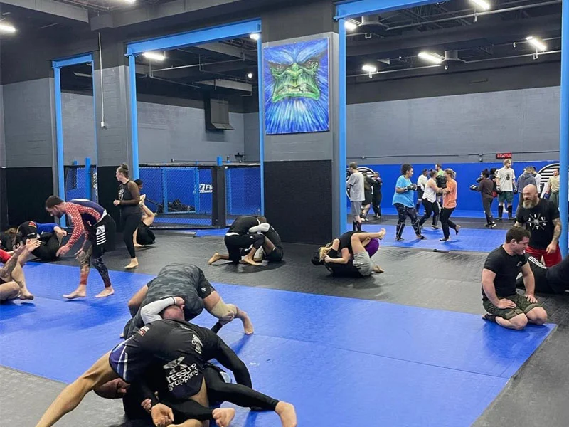 High Altitude Martial Arts facility image