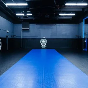 High Altitude Martial Arts facility image