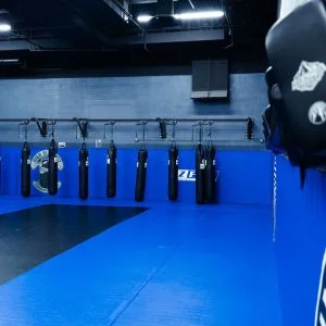 High Altitude Martial Arts facility image