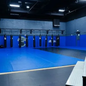 High Altitude Martial Arts facility image