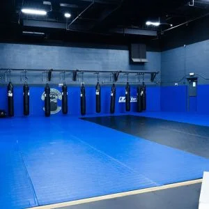 High Altitude Martial Arts facility image