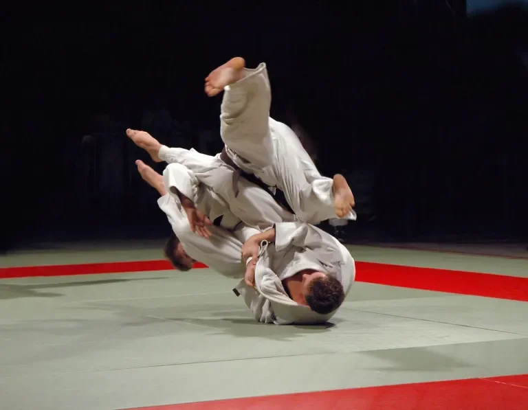 Inyodo Martial Arts facility image