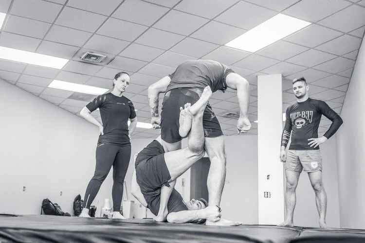 Iron Roots Brazilian Jiu Jitsu facility image