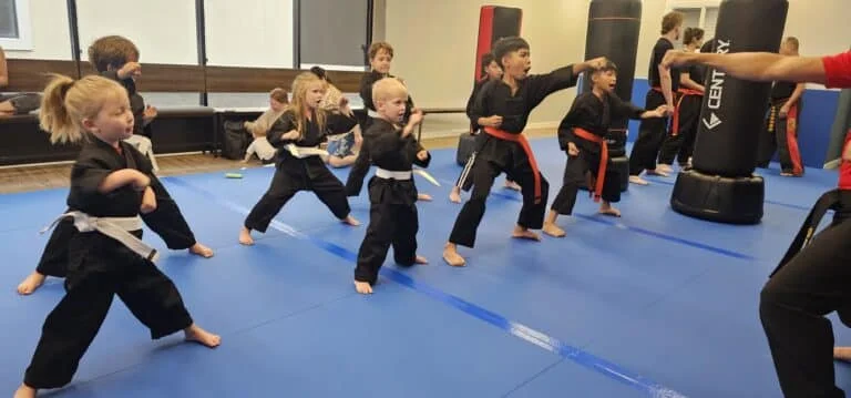 Moore's Martial Arts Academy facility image