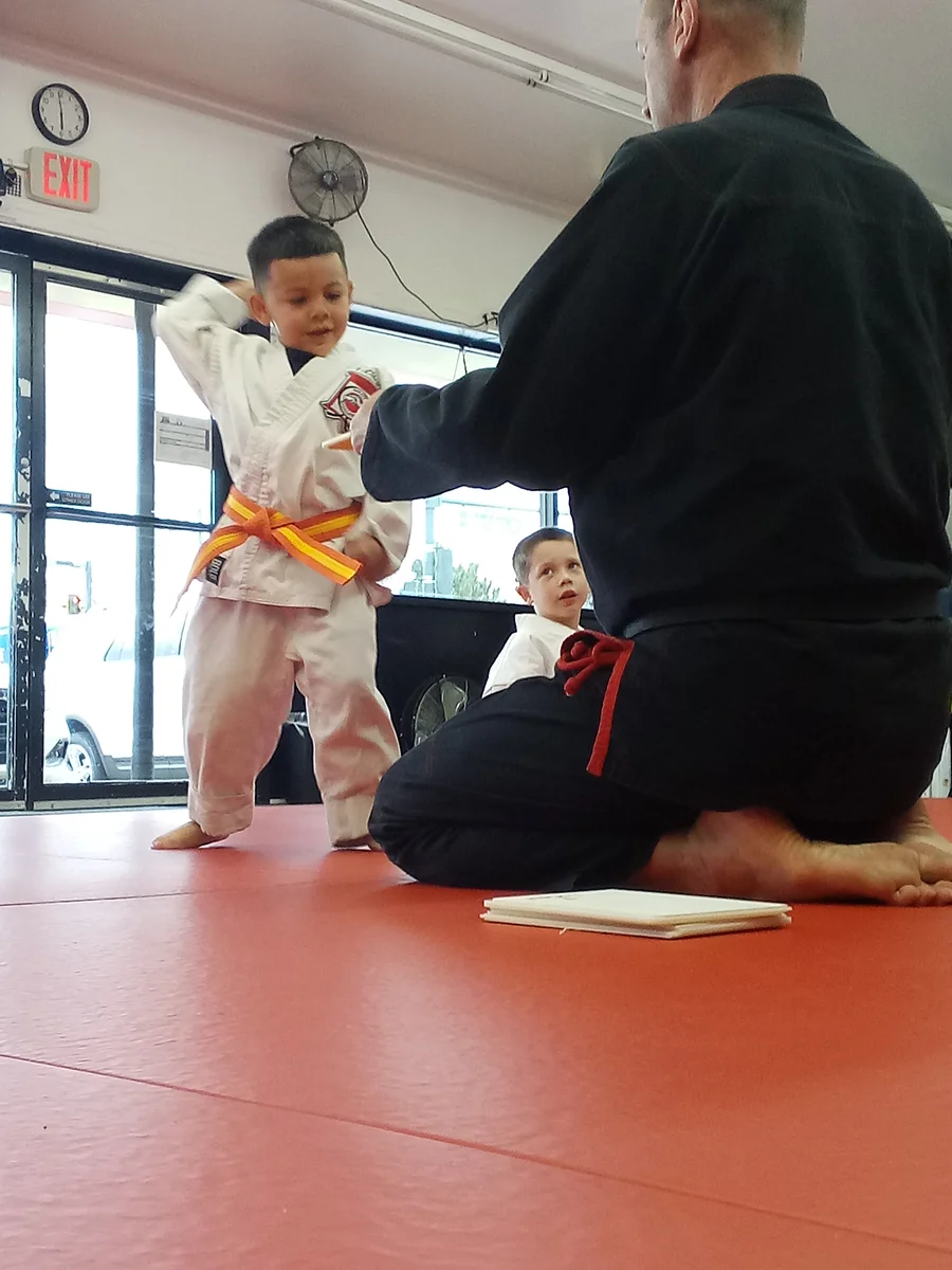 Rhyno's Peoples Kenpo Karate (Rhyno’s PKKA) facility image