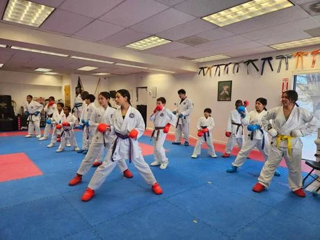Shotokan Karate Dojo facility image
