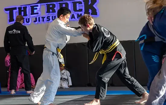 The Rock Jiu Jitsu Team facility image
