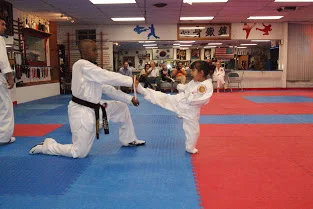Tiger Kim's Academy facility image