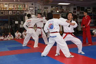 Tiger Kim's Academy facility image