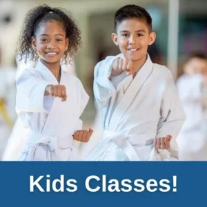 Warriors Martial Arts / Aurora's Best Summer Camp & Warriors Martial Arts facility image