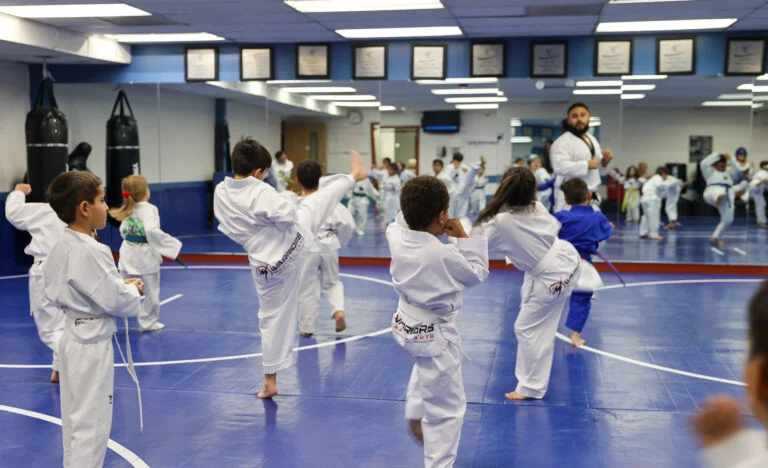Warriors Martial Arts / Aurora's Best Summer Camp & Warriors Martial Arts facility image