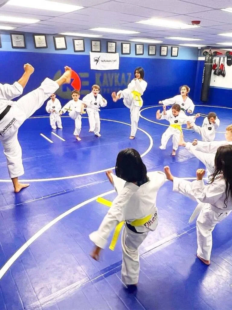 Warriors Martial Arts / Aurora's Best Summer Camp & Warriors Martial Arts facility image