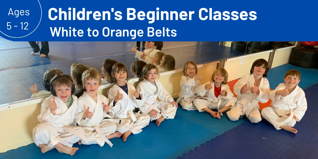 Wolchek Academy of Martial Arts facility image