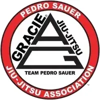 Bushido Jiu Jitsu academy logo