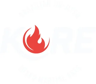 Connecticut State Brazilian Jiu-Jitsu Federation academy logo