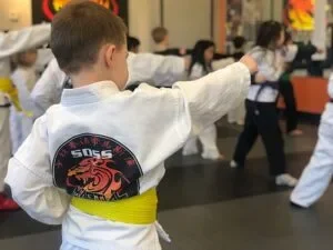 SDSS Martial Arts of West Hartford facility image