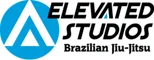 elevated studios martial arts facility image