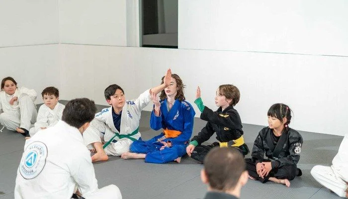 elevated studios martial arts facility image