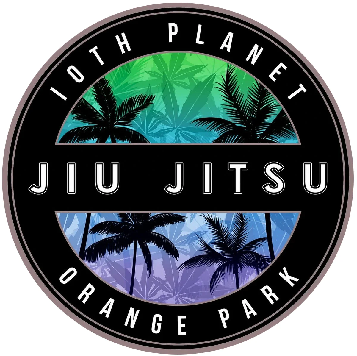 10th Planet Jiu Jitsu Orange Park academy logo