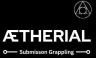Aetherial BJJ facility image