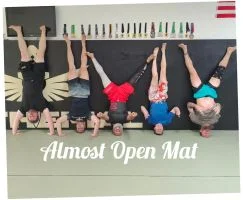 Aetherial BJJ facility image