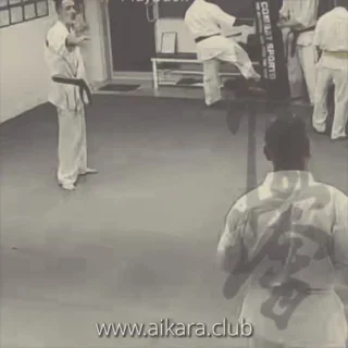 AIKARA KYOKUSHIN KARATE SCHOOL facility image