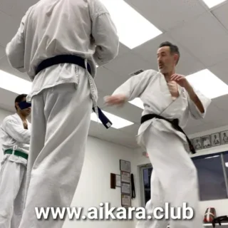 AIKARA KYOKUSHIN KARATE SCHOOL facility image