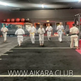 AIKARA KYOKUSHIN KARATE SCHOOL facility image